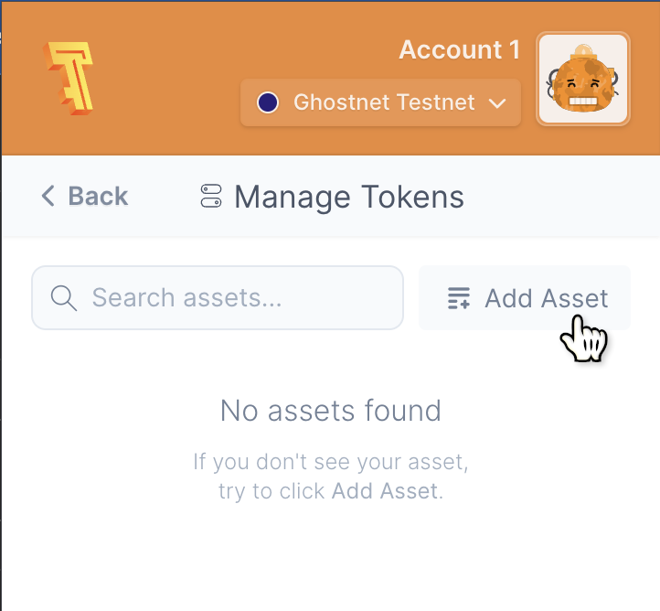 Adding an asset to the tokens list